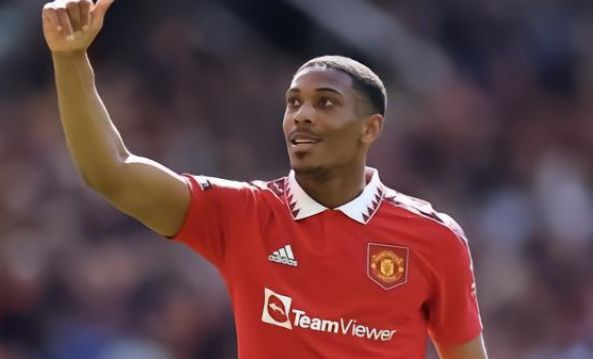 的高水准 的高水准